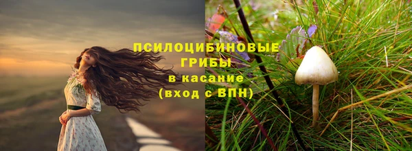 прущая мука Семилуки