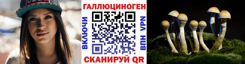 ОМГ ОМГ рабочий сайт  Далматово  Галлюциногенные грибы прущие грибы  наркошоп 