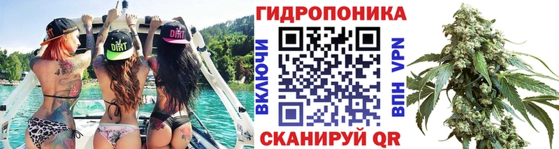 Шишки марихуана семена  Далматово 